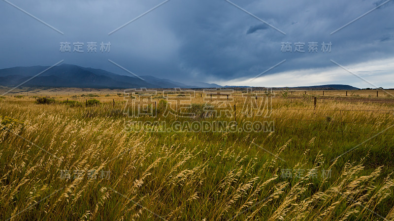 阿拉莫萨县的开阔地带