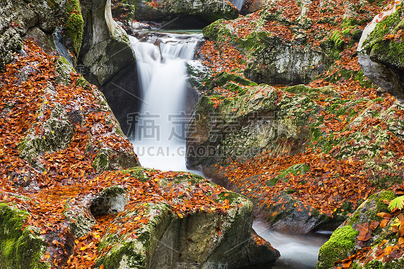 山区河流峡谷和瀑布在秋天的红色- Sunik水树林，莱彭卡河，Bovec，斯洛文尼亚