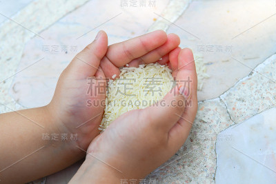 水稻在本田