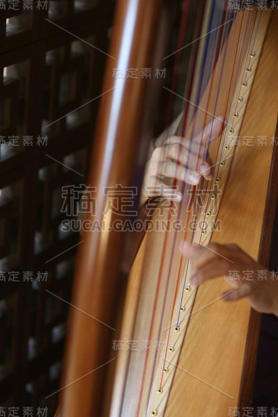 竖琴