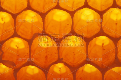 honey-cell