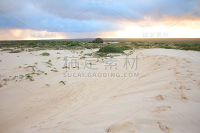 澳大利亚纳拉伯平原