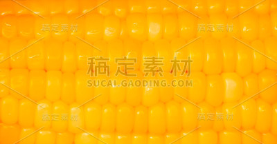 玉米