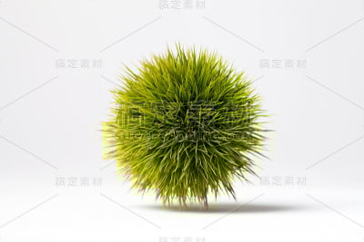 绿栗子，还有蓝毛刺