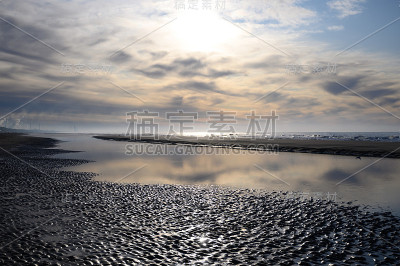 荷兰景观，在荷兰Castricum aan Zee附近的北海沙滩，退潮时