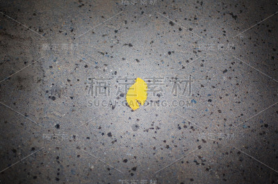 沥青路上的秋叶