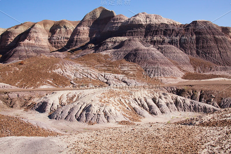 Blue Mesa Trail上的风景