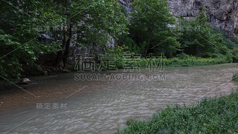 森林景观中的流动清水