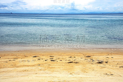 与老查姆