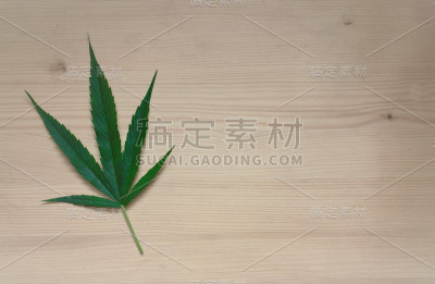 桌子上的大麻叶子
