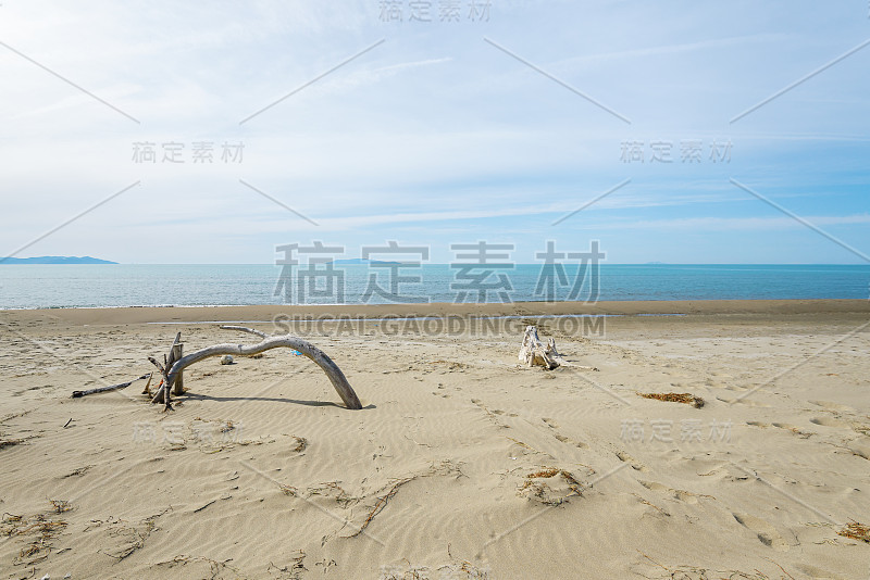 近海岸沼泽地公园海滩