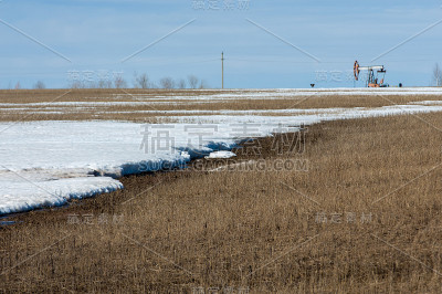 生态学、生态学。油泵。石油工业设备。油气游梁式抽油机