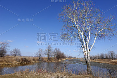 春天