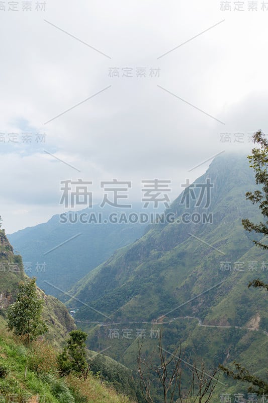 山景，绿坡。美丽的山脉。小亚当峰，山在迷雾中从丛林望去