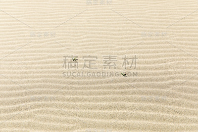 沙子