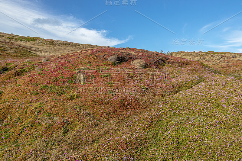 菲利普岛海岸线