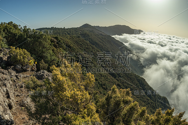 古老的山区乡村小径在岛上的山区。傍晚的云雾在树木繁茂的山丘上爬行。温暖舒适的夜晚在El耶罗岛的山区，