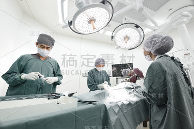 兽医师组在手术室