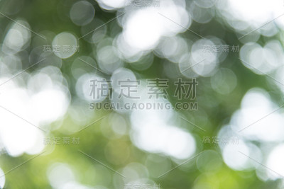 绿色和白色的散景圈抽象背景。