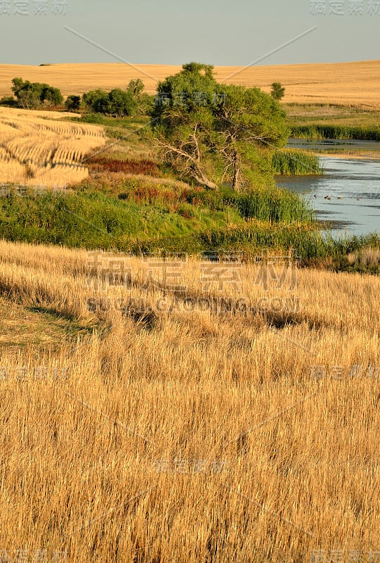 南达科塔州风景