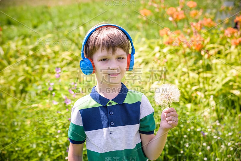 小男孩戴着耳机在大自然中听现代音乐。孩子喜欢这首歌，看向巨大的蒲公英。儿童音乐放松概念课后