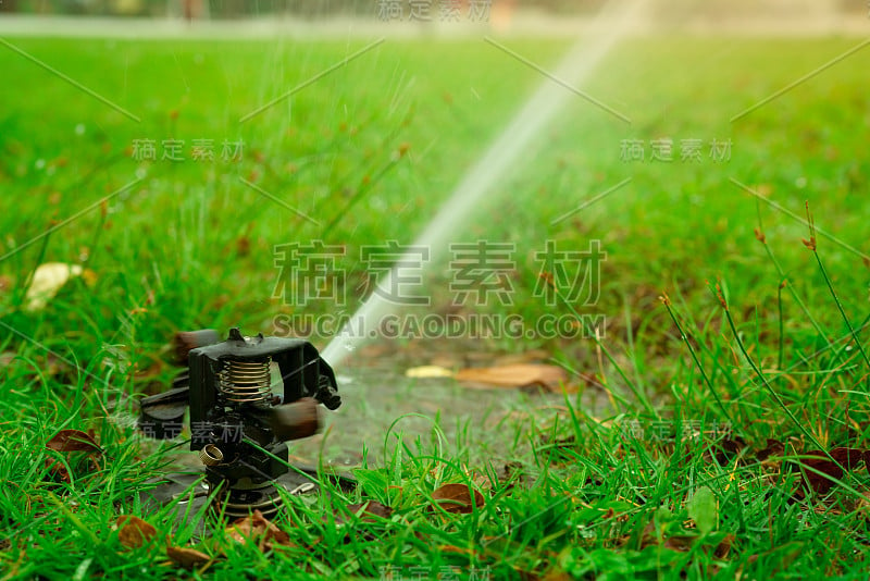 自动草坪洒水器浇灌绿草。花园、庭院灌溉系统浇灌草坪。节水或节约从洒水系统。草地农业业务。洒水车服务和