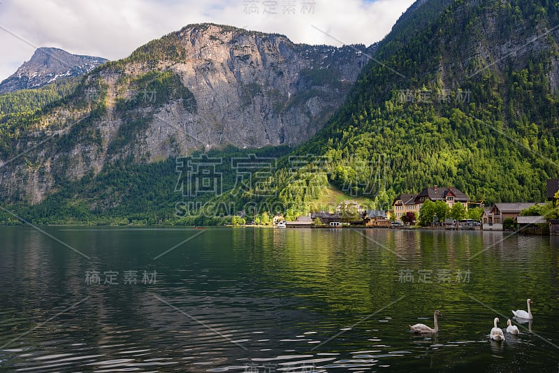 奥地利萨尔茨卡默古特地区，夏季奥地利阿尔卑斯山哈尔斯塔特湖著名的哈尔斯塔特山村，传统的老木屋风景如画