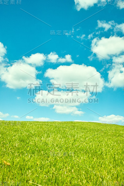 青山