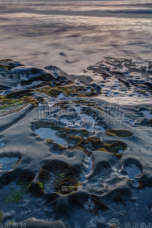 Diverse Beauty Graces the California Coast