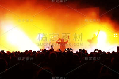 音乐会的人群
