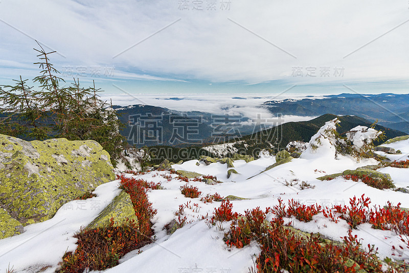 高山，绿色的柳橙和红叶蓝莓。喀尔巴阡山