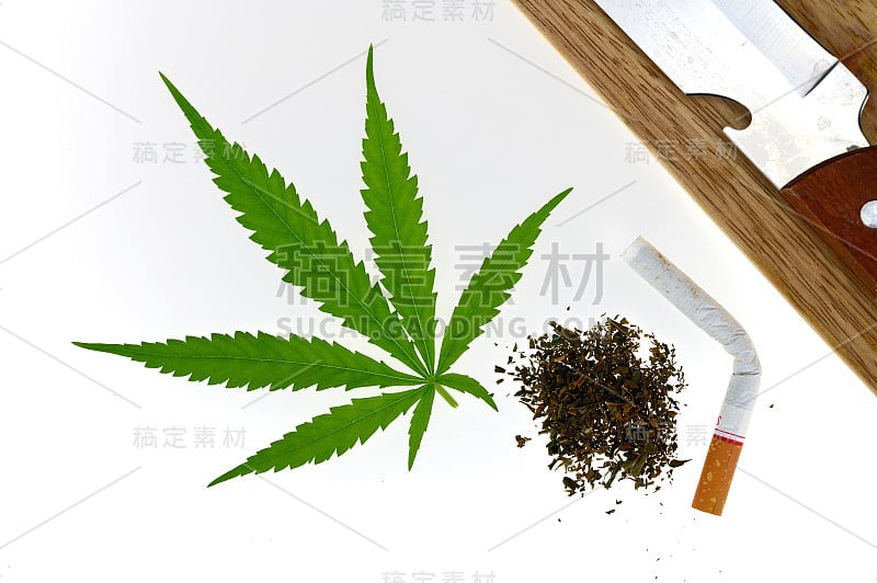 绿色的大麻叶子孤立在白色背景上