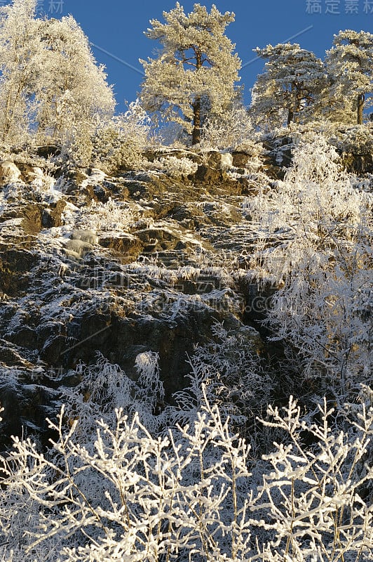 冬天的风景