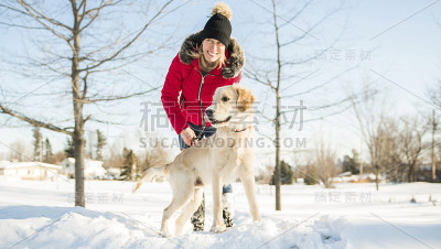 迷人的中年金发女人在雪和金毛寻回。