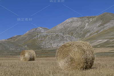 翁布里亚的干草球