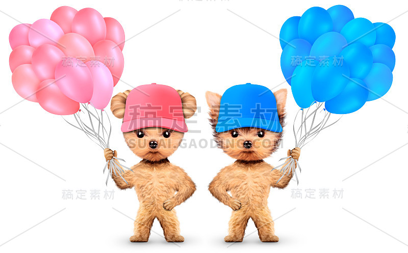 有趣的动物养了一堆气球