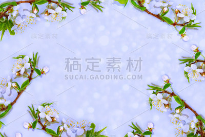 樱花的组成