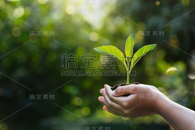 在绿色的自然背景下，让孩子抱着带有阳光的小植物。生态地球日概念