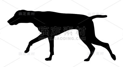 猎狗