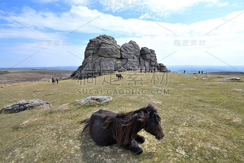 Haytor,小马。