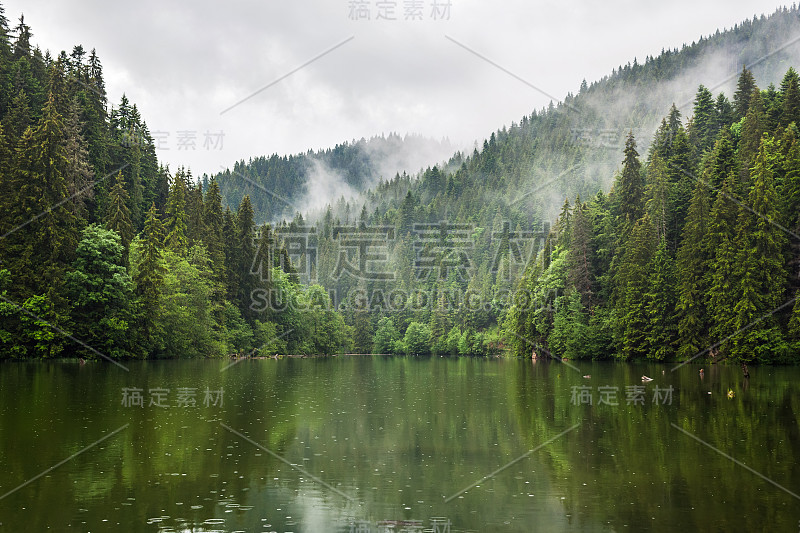 山湖风光，拉库湖或红湖多云，下雨天气，喀尔巴阡东部，罗马尼亚，自然景观背景