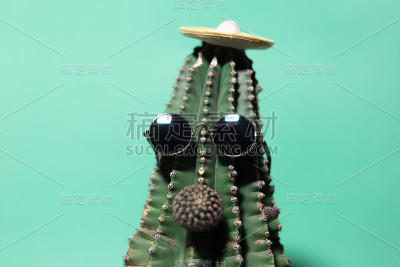 特写的绿色仙人掌鼻子，墨西哥帽子和太阳眼镜，孤立的背景水薄荷的颜色。