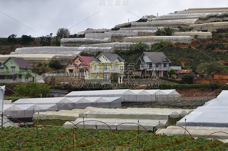 在湄公河三角洲的山坡上，美丽的房子被塑料温室包围着