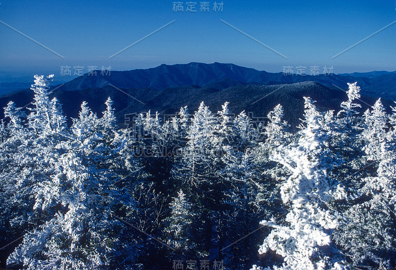 大烟山NP雪景从克林曼斯圆顶- 1980