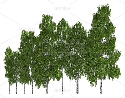 一组树孤立的白色3d插图