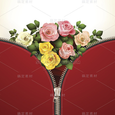 金属拉链与玫瑰