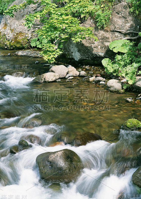 洪流