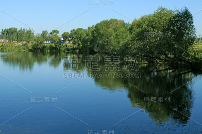 池塘的景色