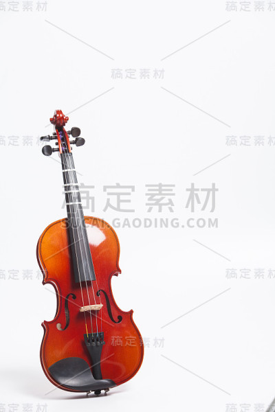 孤立的小提琴站在白色上