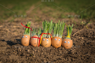 地上有快乐的蛋